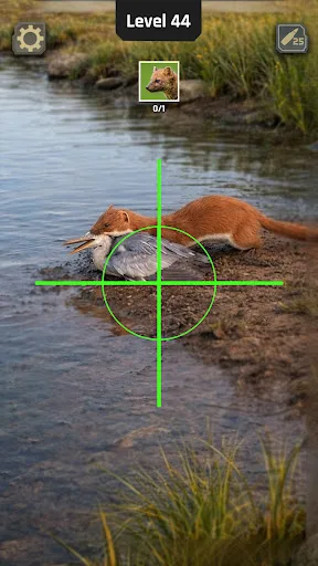 Animal Hunter: Jeux de Chasse screenshot 2